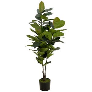 Nx - Arbol C/Pote